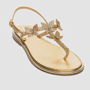 Butterfly Gold thong sandal in Nappa leather with butterfly themed crystals